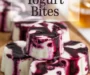 Blueberry Swirl Yogurt Bites Recipe